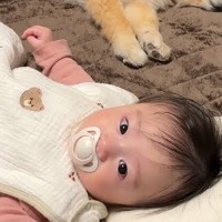 『赤ちゃんの寝かしつけ』に途中参加してきた犬→思っていたのと違う『まさかの光景』が7万再生「なんて可愛い」「心が和んだ」「幸せな時間」