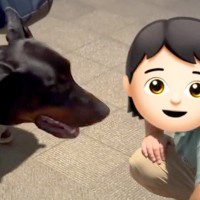大型犬３匹の散歩中『犬が好きな男の子』に会った結果→２か月後、お母さんから連絡が来て…心温まる『素敵な物語』に「本当の犬好き！」と反響