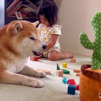 『声真似をするサボテン』と会話する犬→思わず吹き出す『まさかの使いこなし方』に15万いいね集まる「笑いすぎて涙出た」「遊び方分かってる」