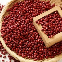 【獣医師監修】犬は小豆（あずき）を食べても大丈夫？栄養素と効果や与える際の注意点まで解説