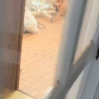 トリミングサロンへ犬を迎えに行った結果→『再会を喜んでくれる』と思いきや…期待を裏切る『まさかのリアクション』に爆笑「保育園みたいｗ」