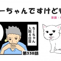 ちーちゃんですけどもっ【第338話】「ちーちゃんが退院したわけ」