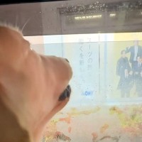 車内から『看板に吠えていた』大型犬→窓を開けてみた結果…まさかのリアクションがたまらないと話題「可愛すぎて無理」「体大きいのに…ｗｗ」