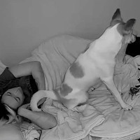 夜、飼い主と一緒に寝る元保護犬→突然起き上がり…カメラが映した『まさかの行動』が泣けると3万いいね「可愛すぎて涙が出た」「私も混ぜて」