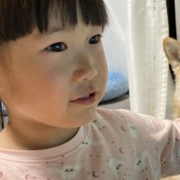 女の子が食べているチキンライスをもらいたい犬→まさかの『手慣れ過ぎている光景』が100万表示「的確なノールックｗｗ」「強者感あって草」