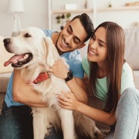 犬を『人間扱い』するのが危険なワケ3選　起こり得るリスクや正しい接し方まで解説