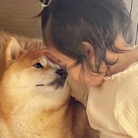 子供が苦手だった犬→1歳の女の子が『愛情を注いだ』結果…素敵すぎる『心を開いた様子』が20万再生「可愛すぎる」「心が穏やかになる」