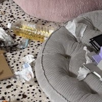 『推しのDVD』を見るのが好きな大型犬→留守番中に流し忘れた結果…衝撃的な光景が169万表示「差がエグすぎるｗ」「あっ…てなるやつ」