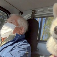 16歳の老犬がおじいちゃんとドライブ→特等席の助手席に乗って…『あまりにも尊すぎる光景』が16万再生「本当にいいコンビ」「相思相愛」