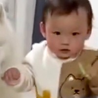 よちよちと歩く1歳の男の子→『転ばないかな？』と心配する大型犬が…まるで『本当の姉』のような行動に2万いいね「幸せオーラすごい」「感動」