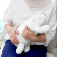 犬が抱っこを拒否するので、仕方なく『ぬいぐるみを抱っこした』結果→愛おしすぎる『反応』に絶賛「可愛いやきもち」「本当は大好きだよね」