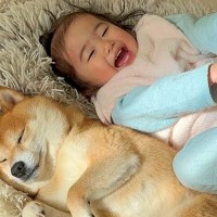 いつも日向ぼっこをしている犬→1歳の女の子も真似をして…幸せが溢れている『位置取り争奪戦』が27万再生「仲良しで癒される」「可愛い」
