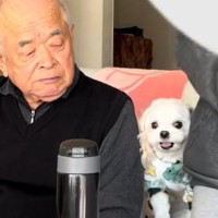おじいちゃんが大好きな犬→隣に座ってみた結果…まさかの『嫉妬しまくる光景』が可愛すぎると63万再生「取り合ってるの笑う」「羨ましい」