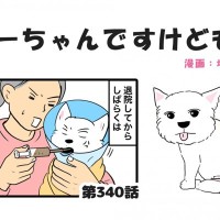 ちーちゃんですけどもっ【第340話】「相当嫌だったらしい」