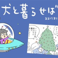 犬と暮らせば【第521話】「聖夜の罠」