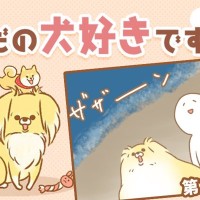 ただの犬好きです。【第342話】「どうして今」