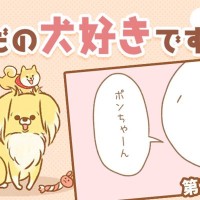 ただの犬好きです。【第343話】「かくれんぼ」