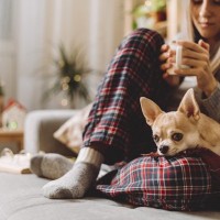 犬が飼い主の『足の間に入り込む』心理５選　可愛すぎる行動の意味や注意点まで解説