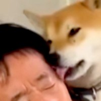 犬から舐められまくる父→想像以上の勢いで…思わず笑ってしまう『すべてを諦めている表情』が話題「なすがままｗｗ」「愛されてるね」