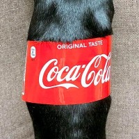 『コカ・コーラの瓶』かと思ったら…おもしろ可愛い『まさかの正体』がSNSで話題「コーラで間違いない」「1本ください！」と12万表示