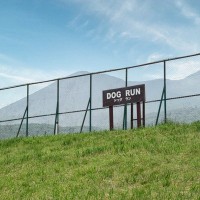 犬が発情しているときの『絶対NG行為』4つ　発情期を迎えたワンコがみせる行動とは？