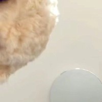 スマホでTikTokを見ていたら、犬が隣にやってきたので撮影→インカメラが捉えた『可愛すぎる光景』が124万再生「最高」「浮気確認？ｗ」