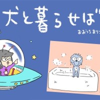 犬と暮らせば【第523話】「新年の抱負」