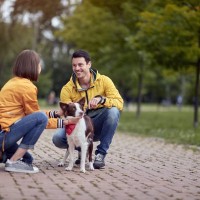 他人から言われたくない『愛犬への言葉』5つ　飼い主が悲しむワードや第三者がすべき配慮まで