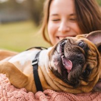 犬はいつも何を考えて生活しているの？愛犬の一日の過ごし方や日々の暮らしを充実させる秘訣まで