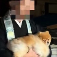 『推しのお坊さん』と半年ぶりに再会した犬→まさかの『一緒に年越し』することになり…幸せな光景に反響「煩悩の塊ｗ」「おとなしくてエラい」