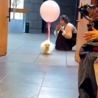 結婚式の『リングドッグ』を任された犬の1日に密着→挙式で見せた『尊い行動』が238万再生「反則並の可愛さ」「きゅんきゅんした」と悶絶