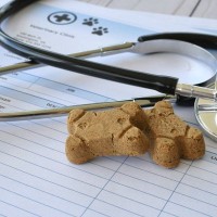 犬の『病院代』年間で必要な金額とは？医療費の目安はどのくらいなの？負担を軽くする方法まで