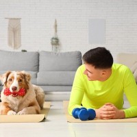 犬と一緒に楽しめる『室内遊び』とは？愛犬を満足させる方法や安全に遊ぶためのポイントまで