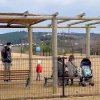 ドッグランで遊んでいた大型犬→知らない人のところで…ツッコミどころが多い光景に2万9000いいね集まる「才能あるｗ」「挟まれてて可愛い」
