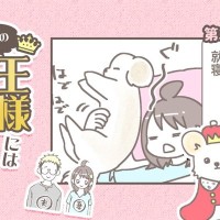 うちの王様にはどうしても抗えない【第340話】「さすが下僕」