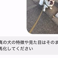 AIに犬の写真を送って『見た目はそのままで馬にして』とお願いした結果→想定外すぎる生成が105万再生「犬タウロスｗｗ」「吹いたｗ」