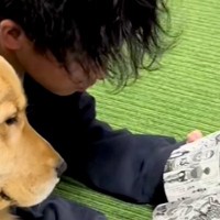 漫画を読んでいるお兄ちゃん→大型犬が隣にやってきて…まるで『本当の兄弟みたいな様子』に反響「前足かわいい」「一緒に読んでるんだね」