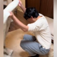 『犬と遊んでる最中、パパが急に消えたらどうなるのか』検証した結果…愛おしすぎる『必死な光景』が31万再生「焦ってるｗ」「しっぽフリフリ」