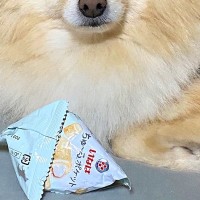 『食べたことのないオヤツ』をもらった犬→あまりにも美味しくて…『まさかの行動と表情』が可愛すぎると17万表示「うるうるｗ」「癒された」