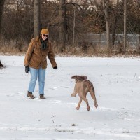犬の『呼び戻し』が大切な理由4つ　呼んでも来ない理由やトラブルを防ぐために必要なしつけまで