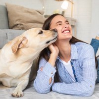 犬が『人のニオイを嗅ぐ』心理５選　熱心にチェックしてくるときの対処法までご紹介