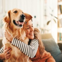 犬にベタベタしすぎるのがNGとされる理由5つ　考えられるリスクや適切な距離感まで