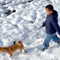 雪の中で子犬を散歩する男の子→突然引っ張られてしまい…微笑ましすぎる『まさかのハプニング』に反響「わかるｗ」「リード離さないお兄ちゃん偉い」
