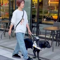 スタバの前を通る『目が見えない女性と盲導犬』→素通りするかと思いきや…まさかの展開が453万再生「誘導してるｗ」「絆を感じてほっこり」