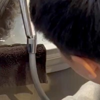 『旦那と犬が静かだな』と思って見に行くと、お風呂場にいて…家族愛を感じる『素敵な光景』が274万再生「可愛すぎてニヤニヤ」「顔が最高」