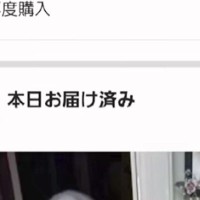 Amazonから荷物が届いたので『配達完了通知』を確認したら…荷物と一緒に撮影された『まさかの光景』が9万再生「癒される」「お茶目ｗ」