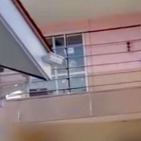 『車についたら振り返ってみて』とトリマーに言われたので、外で窓を見てみたら…泣けてくる光景が38万再生「涙出た…」「愛ですね」と感動