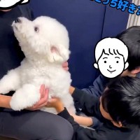 実家に行っていたパパが『2日ぶりに帰ってきた』結果→犬と再会した瞬間に…愛おしすぎる『熱烈歓迎の様子』に反響「大喜び可愛い」「声がｗ」