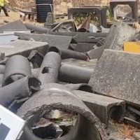 『国際災害救助犬』になろうと奮闘するワンコ→素敵すぎる『1匹の保護犬の物語』に感動の声「ウルウルした」「心からおめでとう」と6万再生