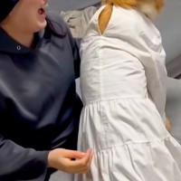 捨てようとしていた白いワンピースを『大型犬に着せてみた』結果→あまりにも似合いすぎている光景が26万再生「脳バグるｗ」「ご満悦で可愛い」